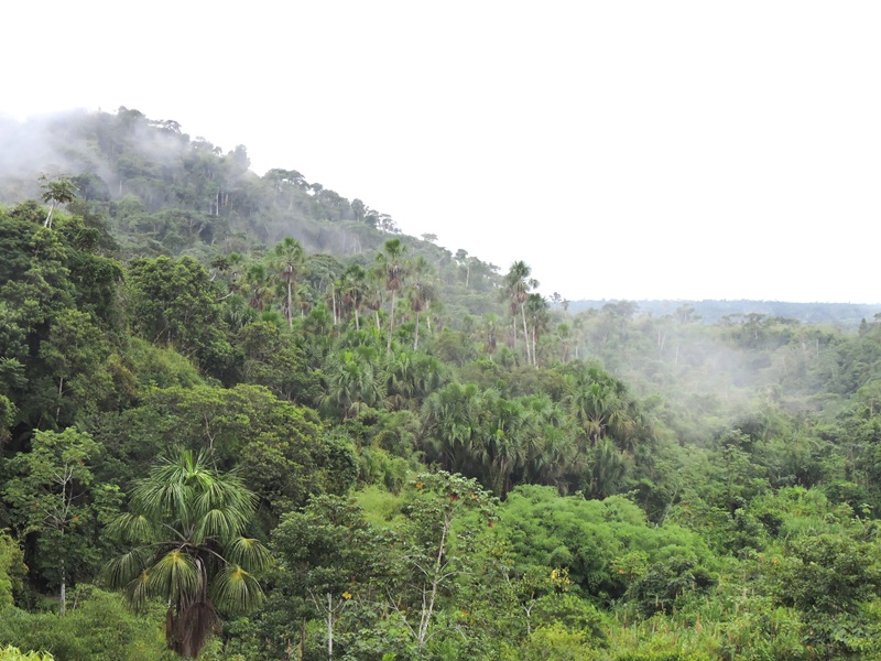 Manu vs Tambopata rainforest comparison
